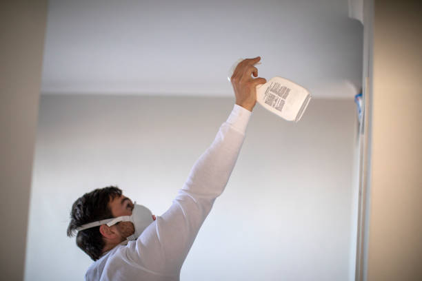 Best Commercial Mold Removal  in Jonesville, VA